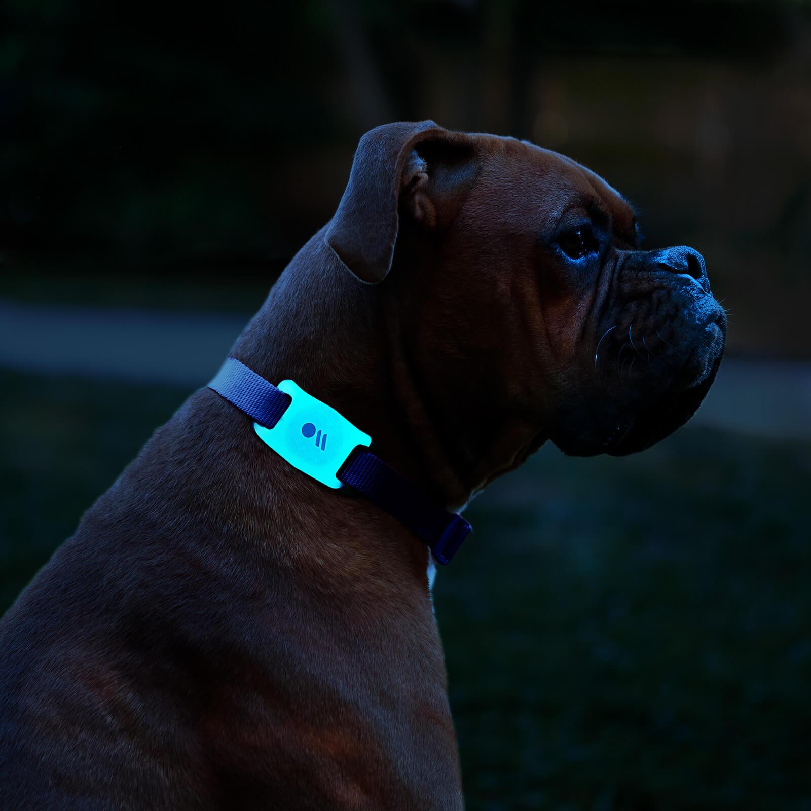 AirTag Case for Dog Collars (Glow in the Dark) - AirTag Case - Image 4