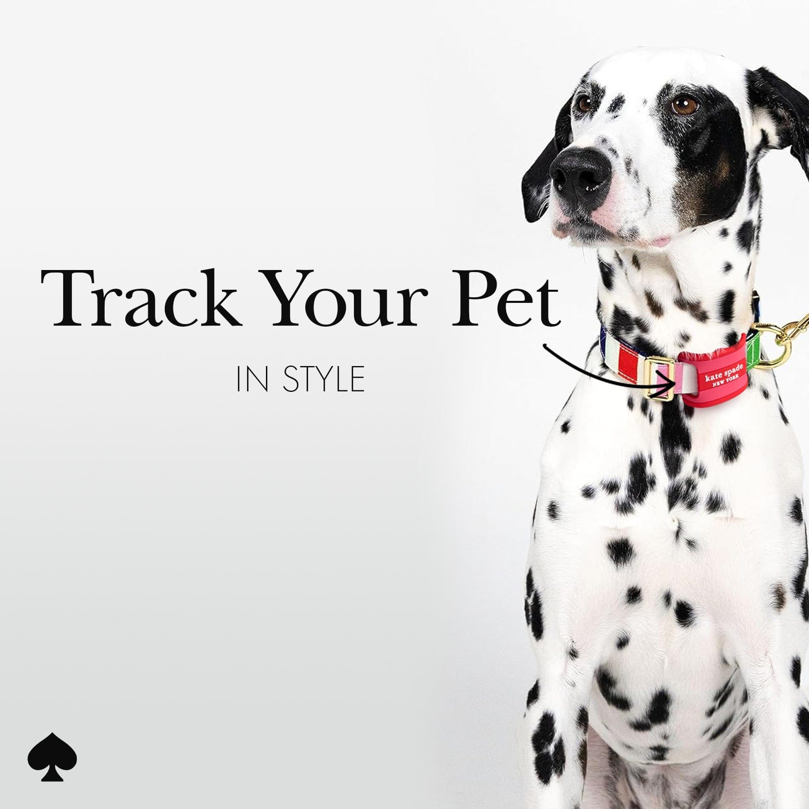 kate spade new york Seaside Strip Dog Collar AirTag Case - Image 3