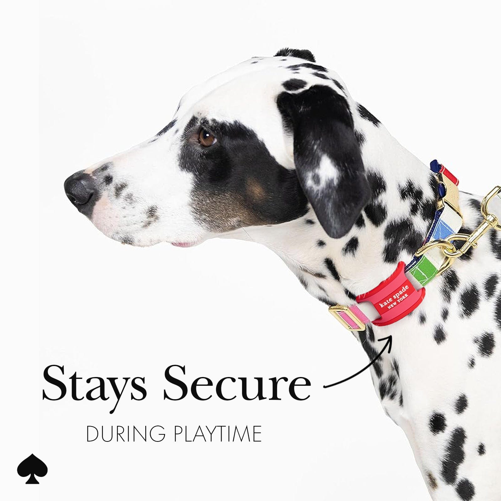 kate spade new york Seaside Strip Dog Collar AirTag Case - Image 8